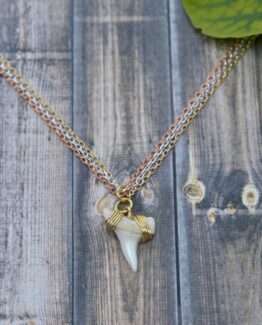 Jaws in Pearl